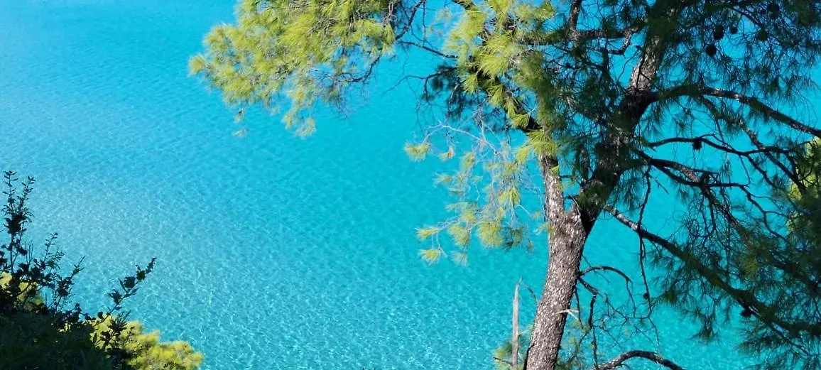 Tivoli Palms Apartment Kallithea